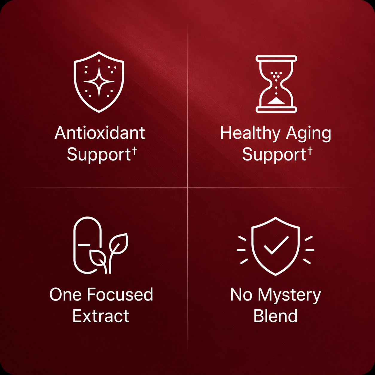 Florencea® Men’s Pomegranate Vitality